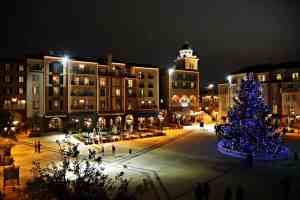 Portofino Bay Hotel Wedding