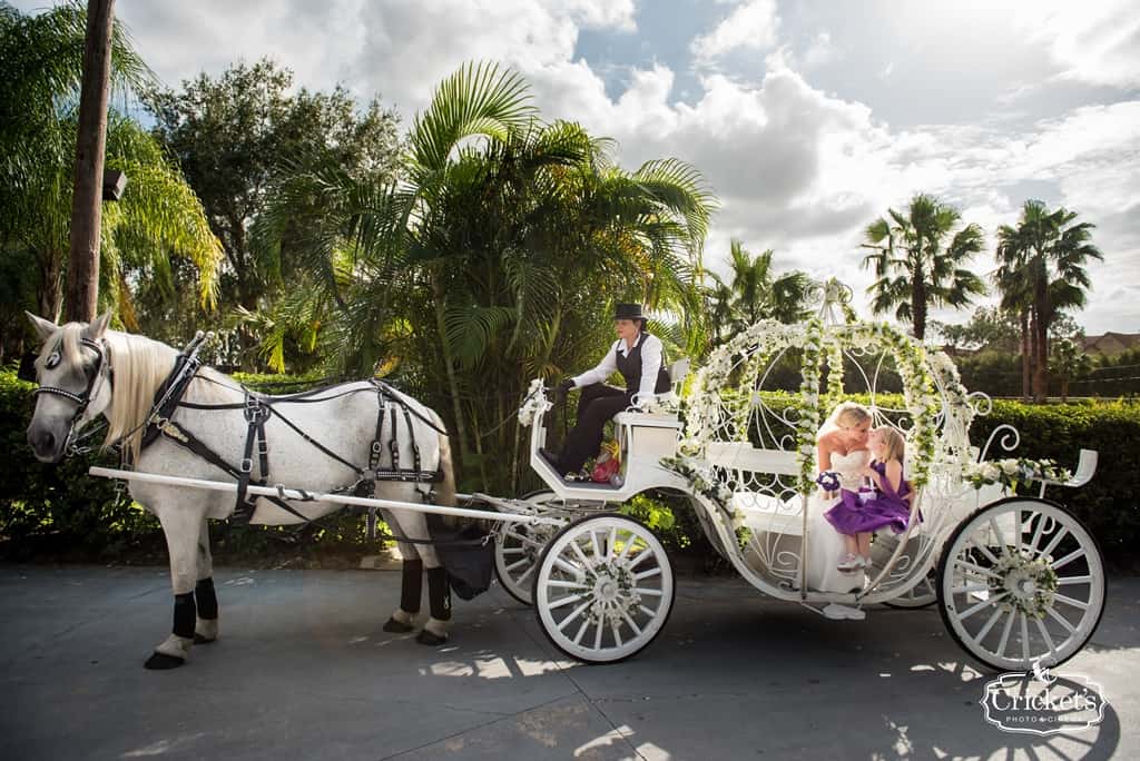 Disney wedding package