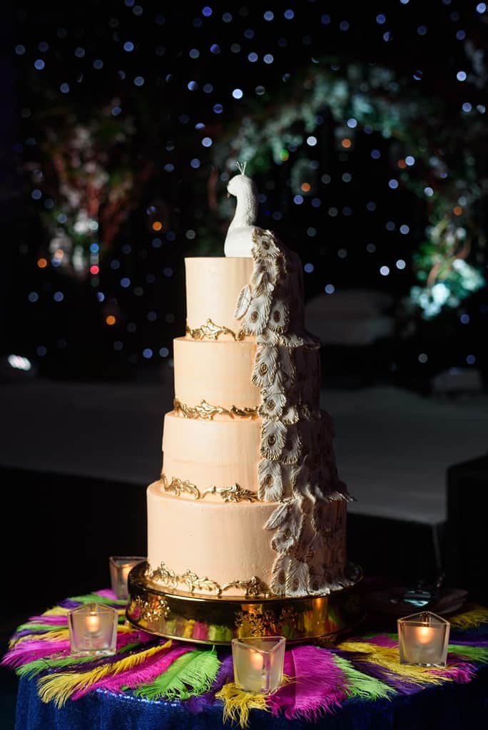 Orlando Indian Wedding Planner (Photos by Rob)