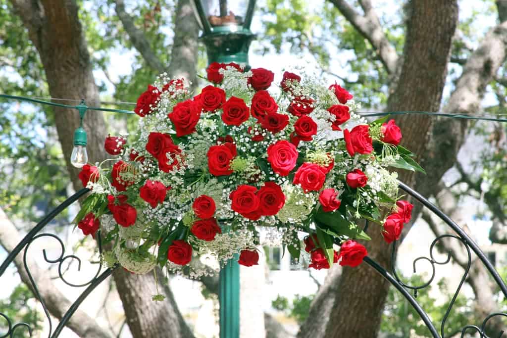 Wedding Packages Orlando (Ginger)