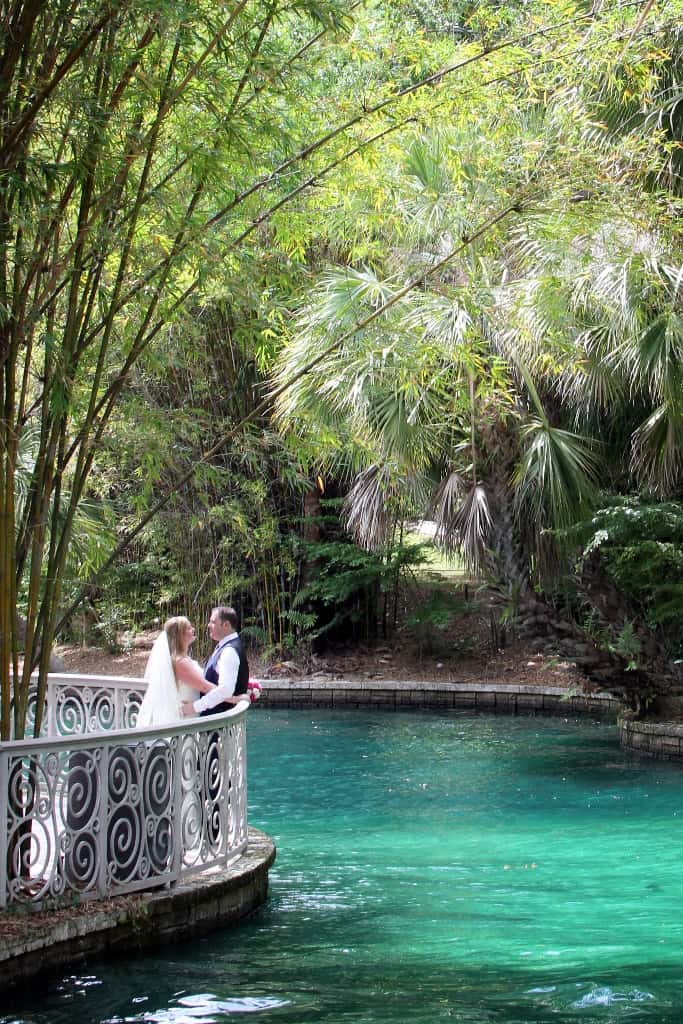Weddings in Orlando (Ginger)