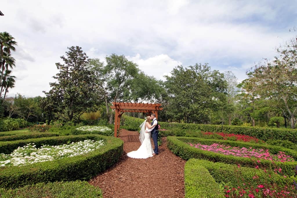 Weddings in Orlando (Ginger)