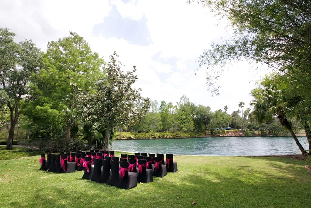Weddings in Orlando (Ginger)