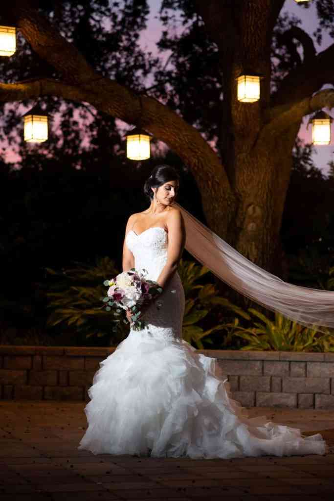 Disney Wedding Venues - Just Marry Weddings - Al Dee Productions