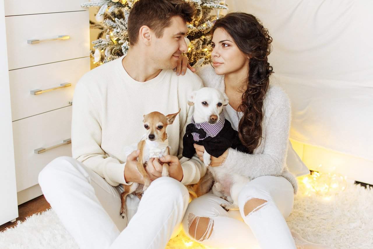 Fun Engagement Announcement Ideas - Pets - Just Marry Weddings