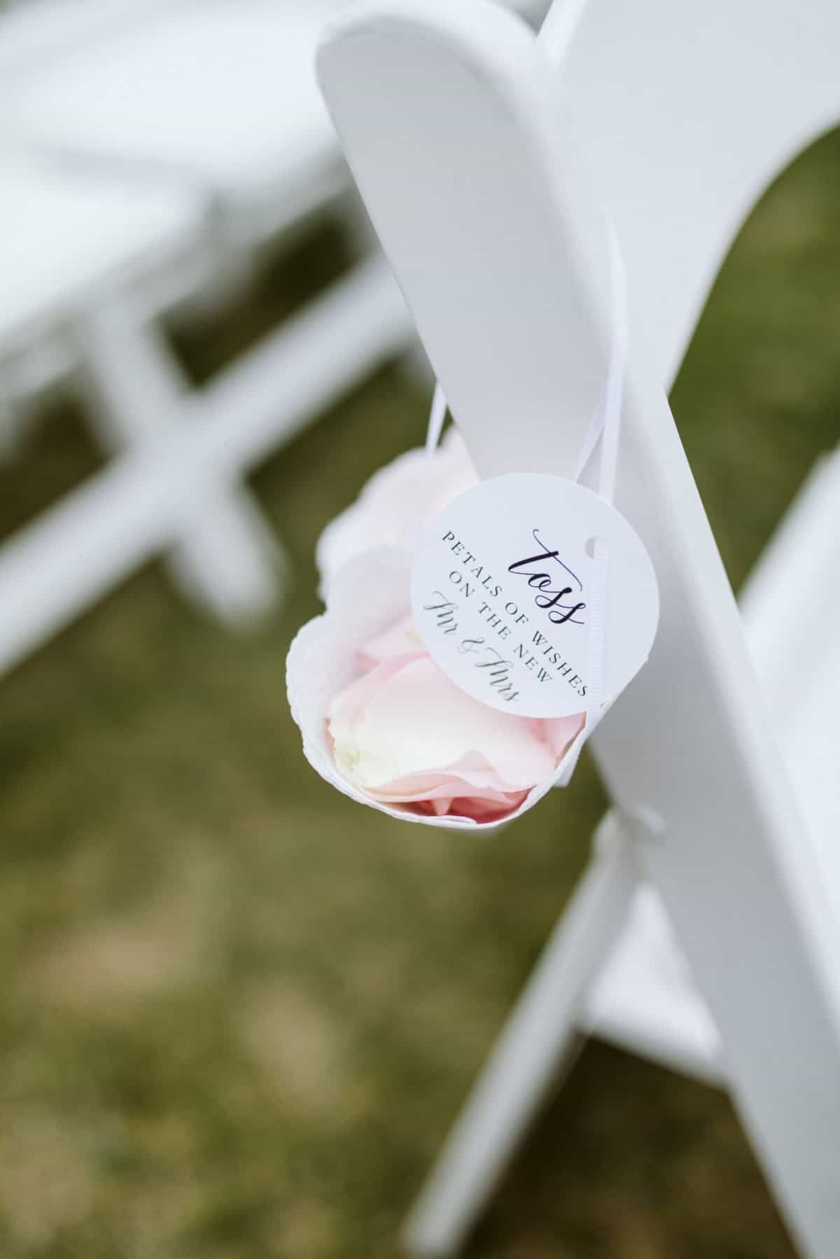 Wedding Exits (Petals) - Just Marry Weddings - Nate Puhr Photography
