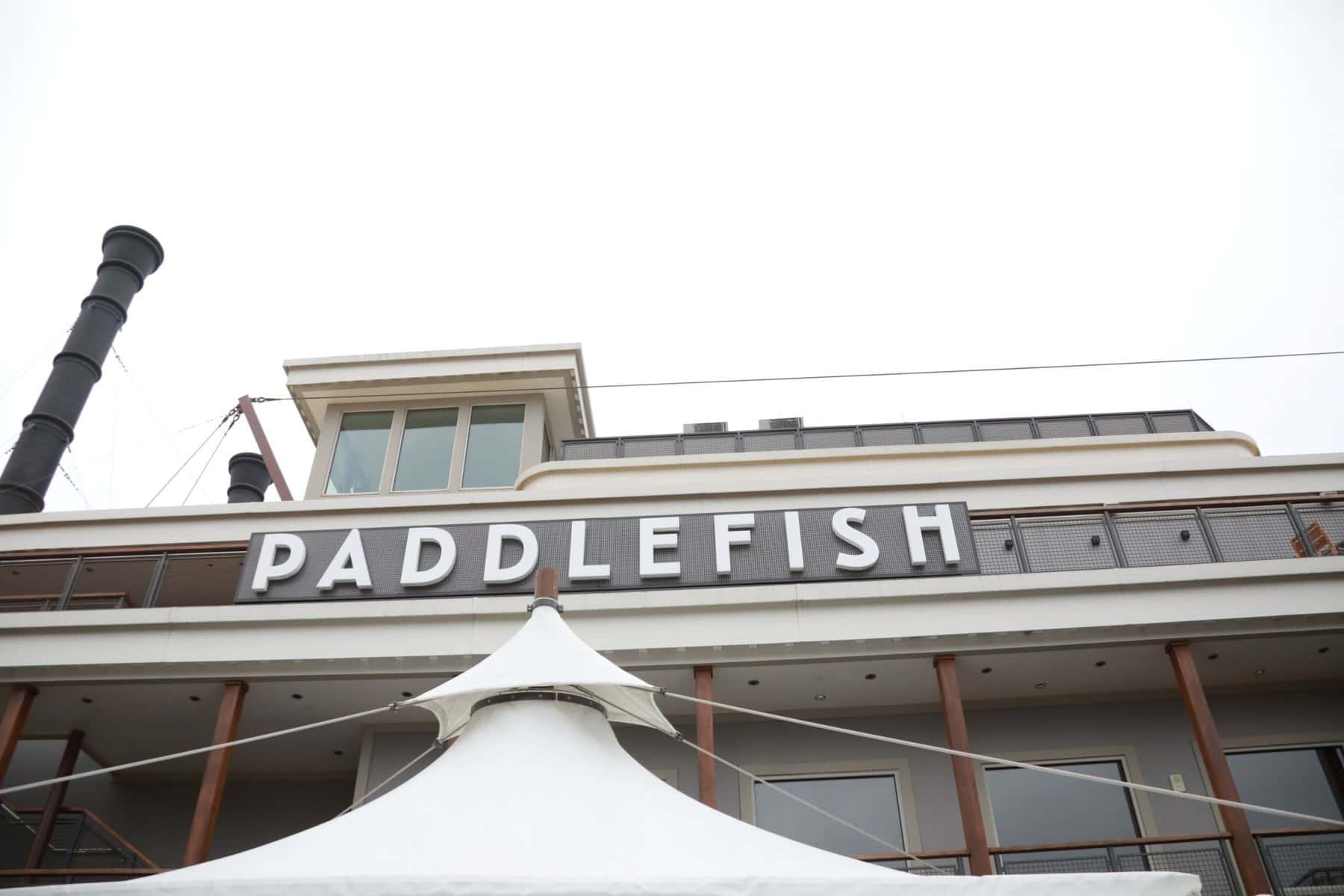 Disney Vow Renewal - Just Marry Weddings - Chapman Photography