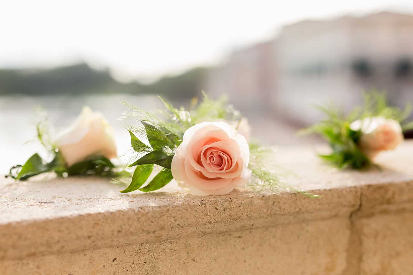 Pink and blue wedding - Just Marry Weddings - Sydney Morman Photography