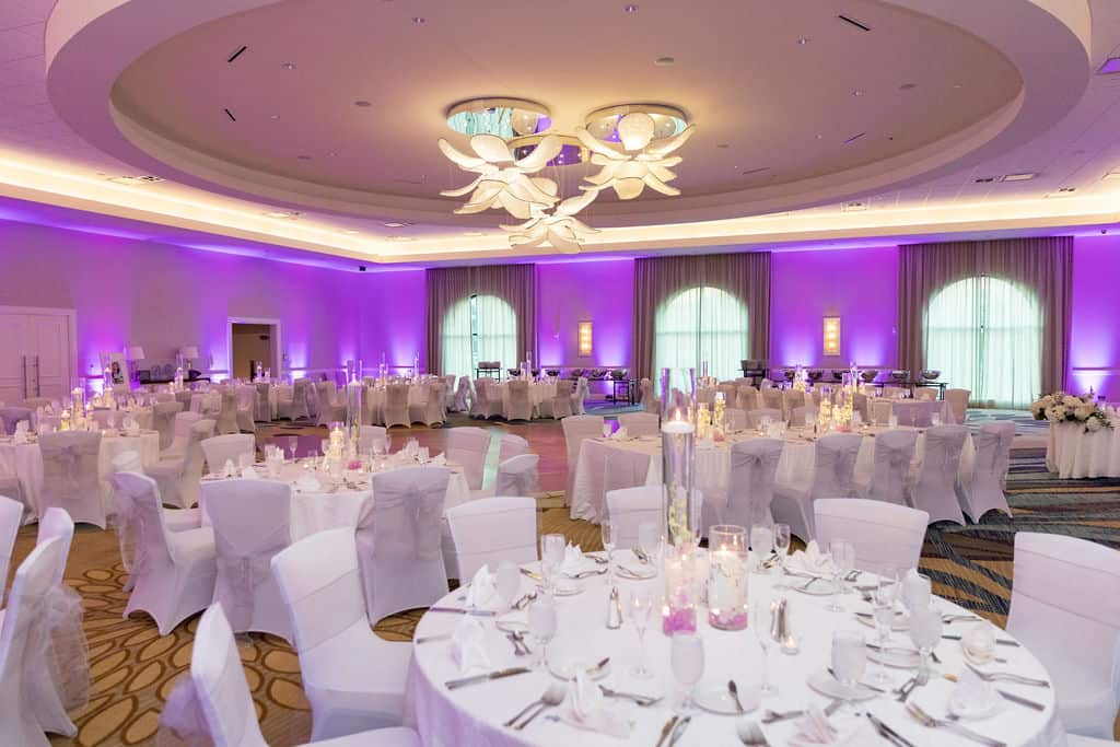 Lawn Wedding - Just Marry Weddings - Victoria Angela Photography