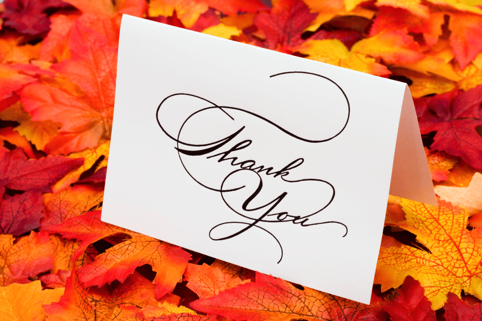 Thanksgiving Wedding - Just Marry Weddings
