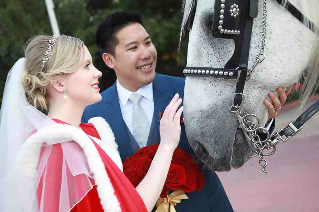 Disney Themed Wedding - Just Marry Weddings - Chapman Photography