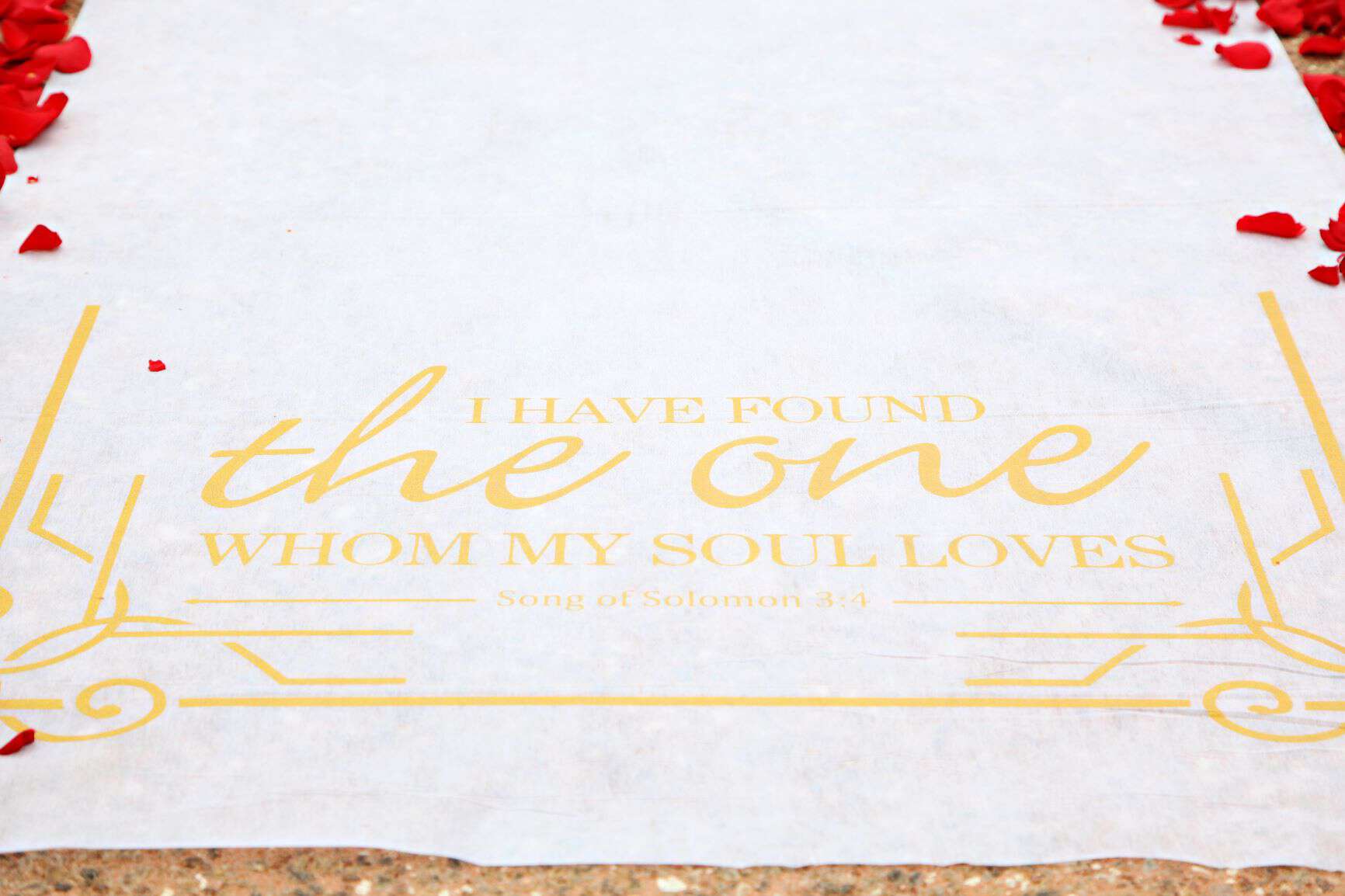 Beauty and the Beast Wedding Theme - Just Marry Weddings - Regina Hyman Photography