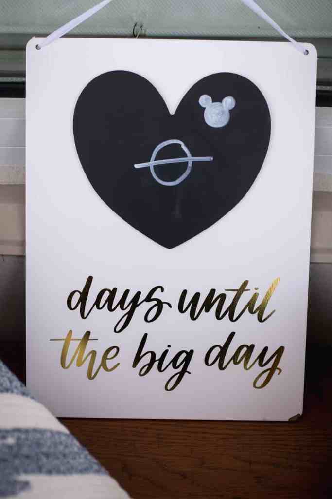 Disney Wedding Ideas - Just Marry Weddings - Nova Imagery - Paddlefish - Wedding Signage