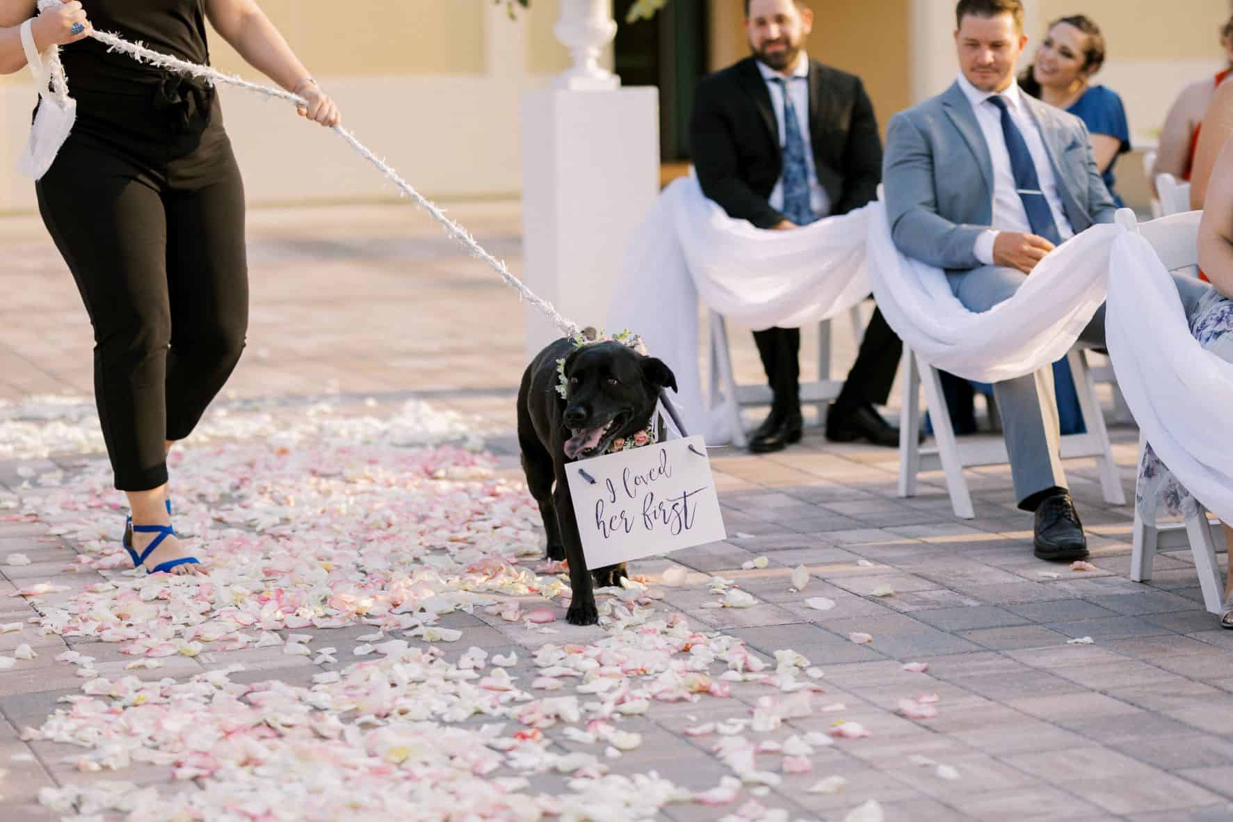 Orlando Wedding - Just Marry Weddings - Casie Marie Photography - Ceremony