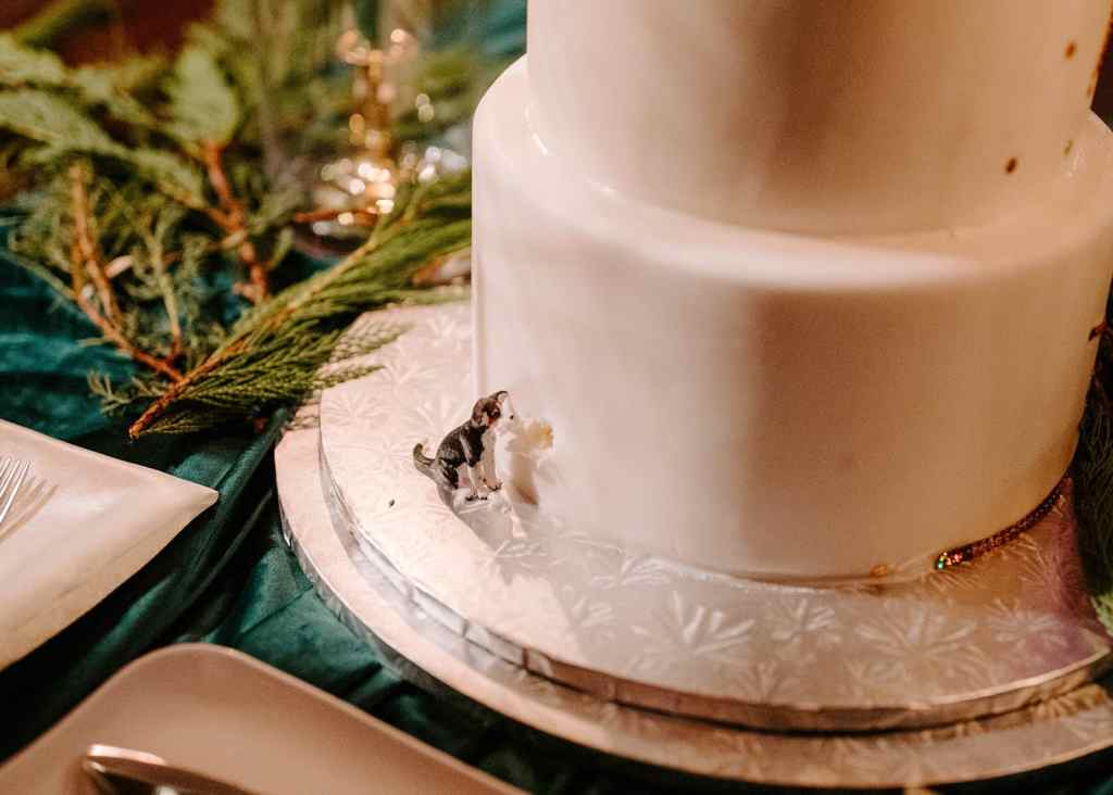 Sleeping Beauty Wedding - Just Marry Weddings - Photos by Stephanie Velez - Wedding Cake