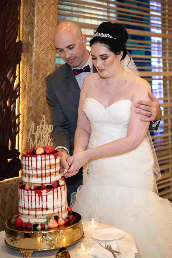 Nerdy Wedding - Just Marry Weddings - Nova Imagery - Cake Cutting