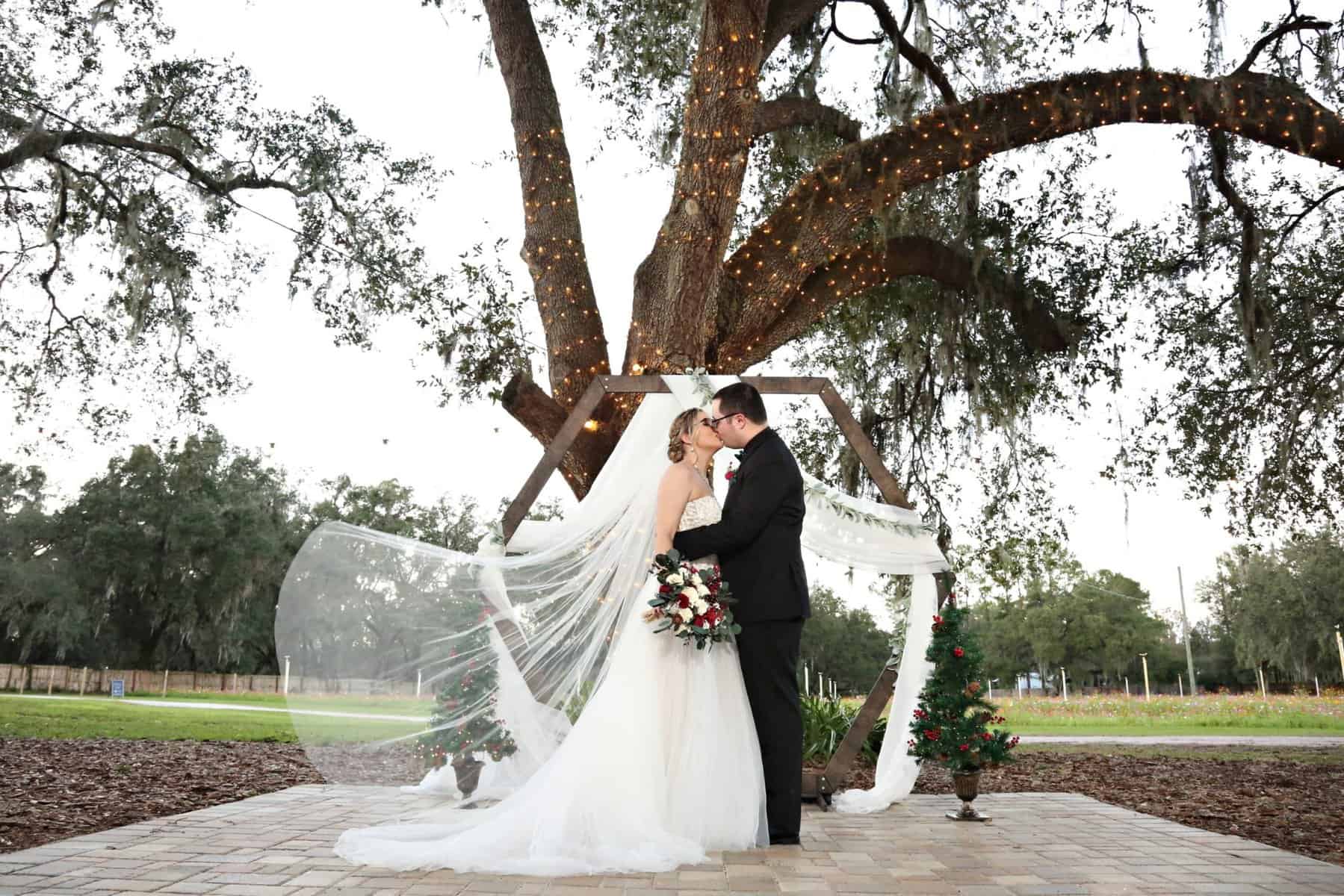 Christmas Wedding Theme - Just Marry Weddings - Regina Hyman Photography - Portraits
