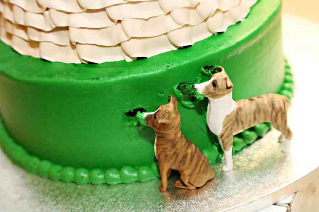 Christmas Wedding Theme - Just Marry Weddings - Regina Hyman Photography - Dogs - Pets