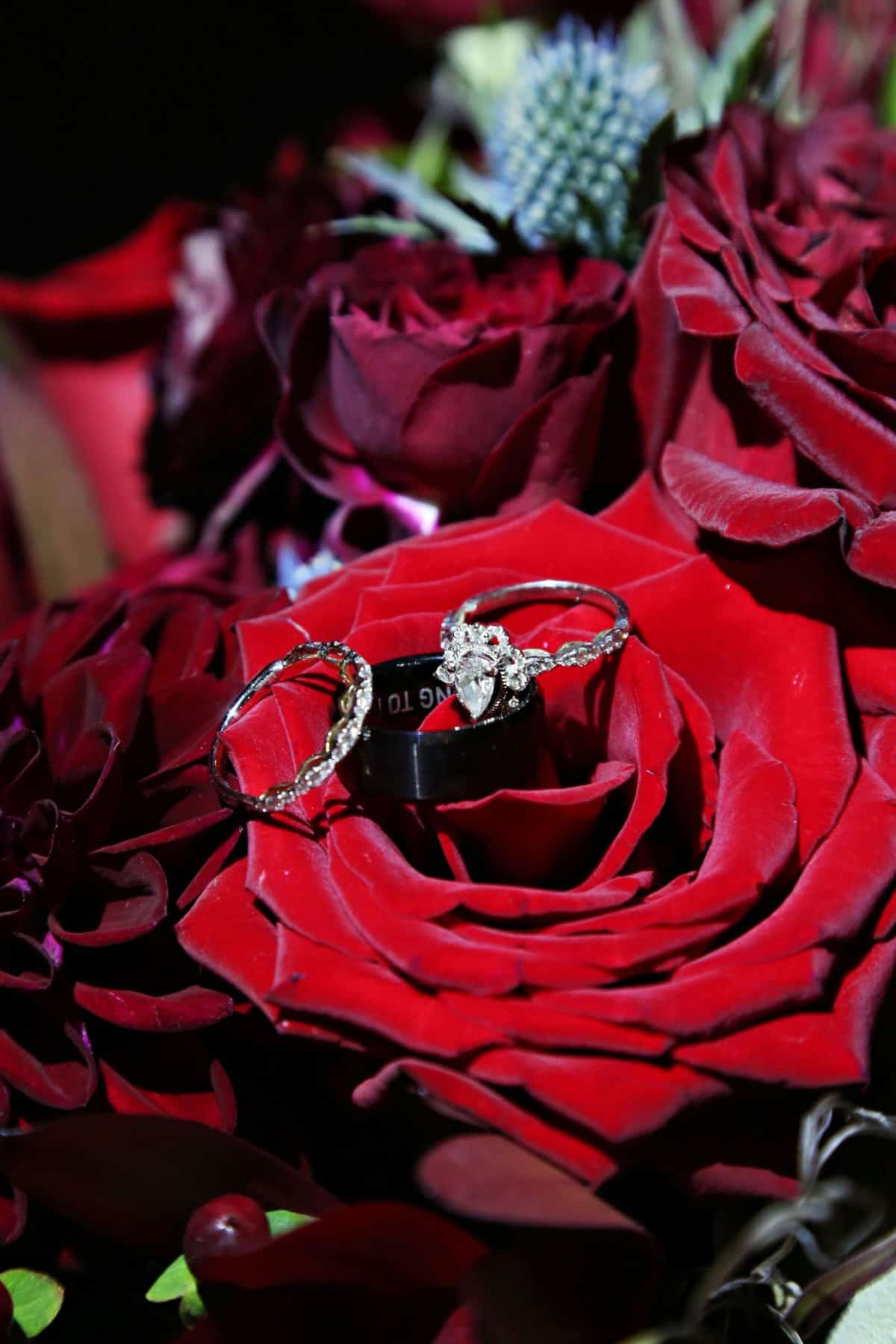 Halloween Wedding Theme - Just Marry Weddings - Regina Hyman Photography - Details - Rings