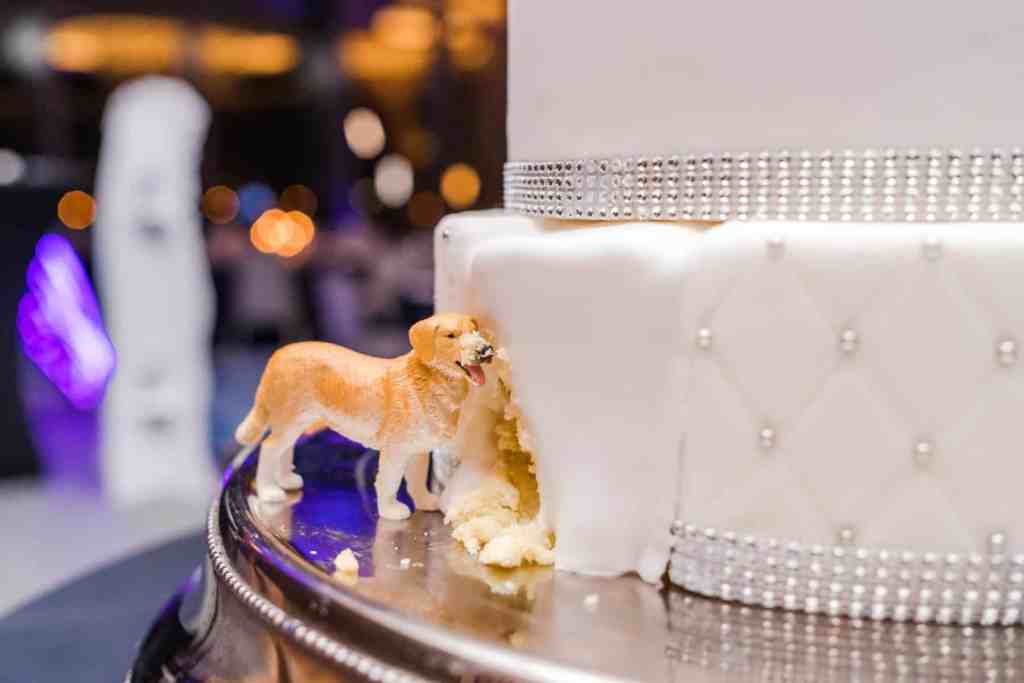 Disney Themed Wedding - Just Marry Weddings - Captured by Elle - Wedding Cake - Dog