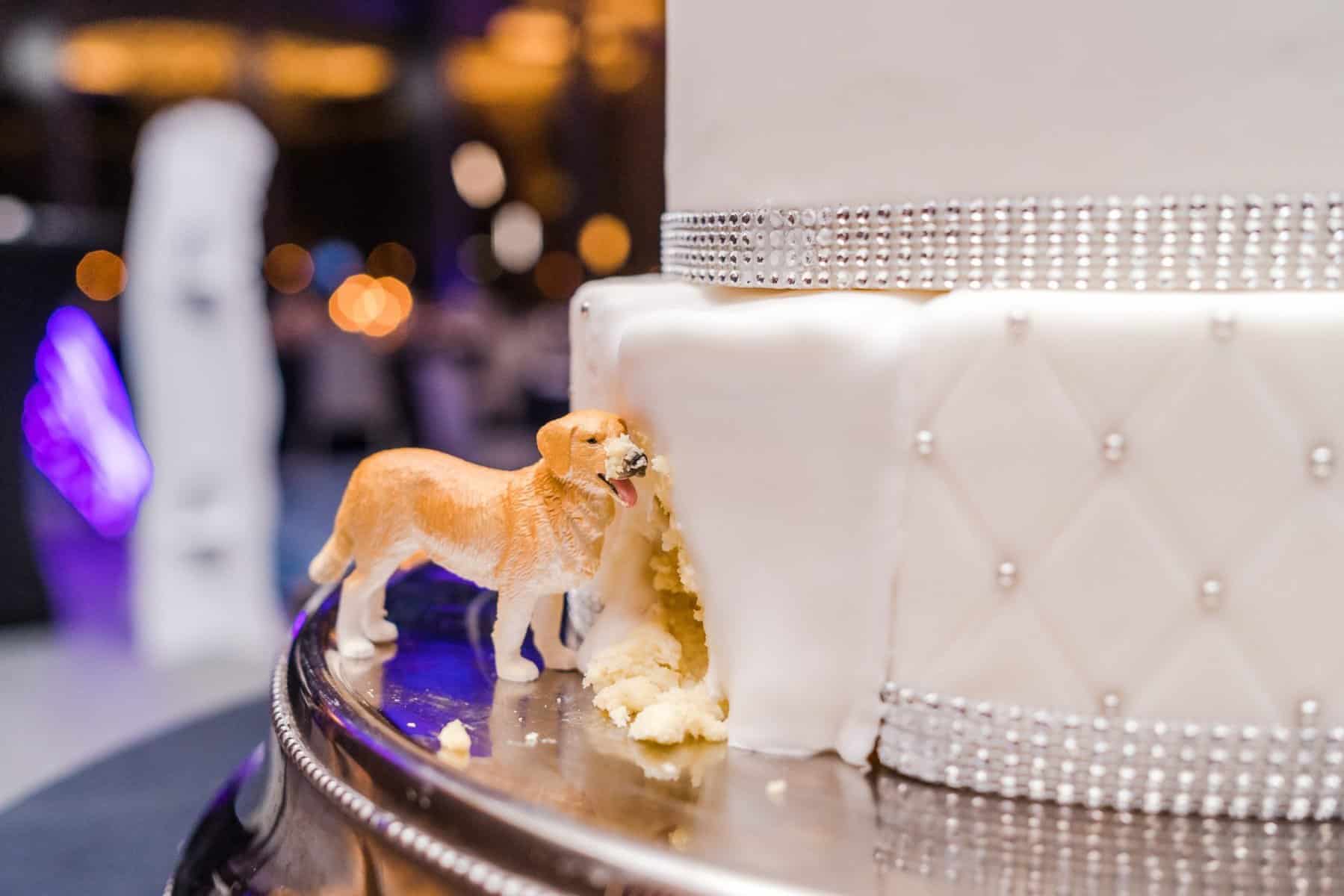 Disney Themed Wedding - Just Marry Weddings - Captured by Elle - Wedding Cake - Dog