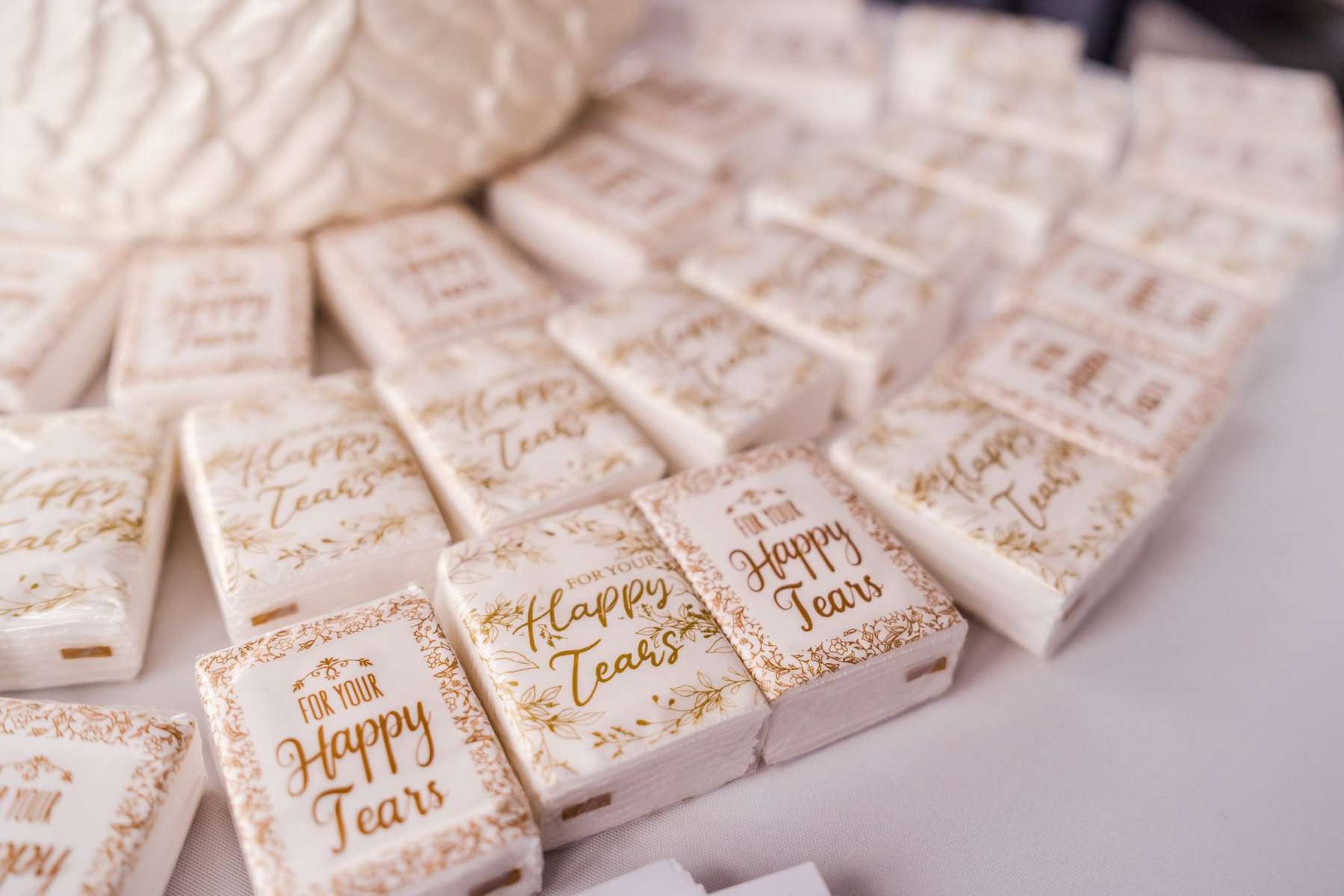 Disney Themed Wedding - Just Marry Weddings - Captured by Elle - Ceremony Details