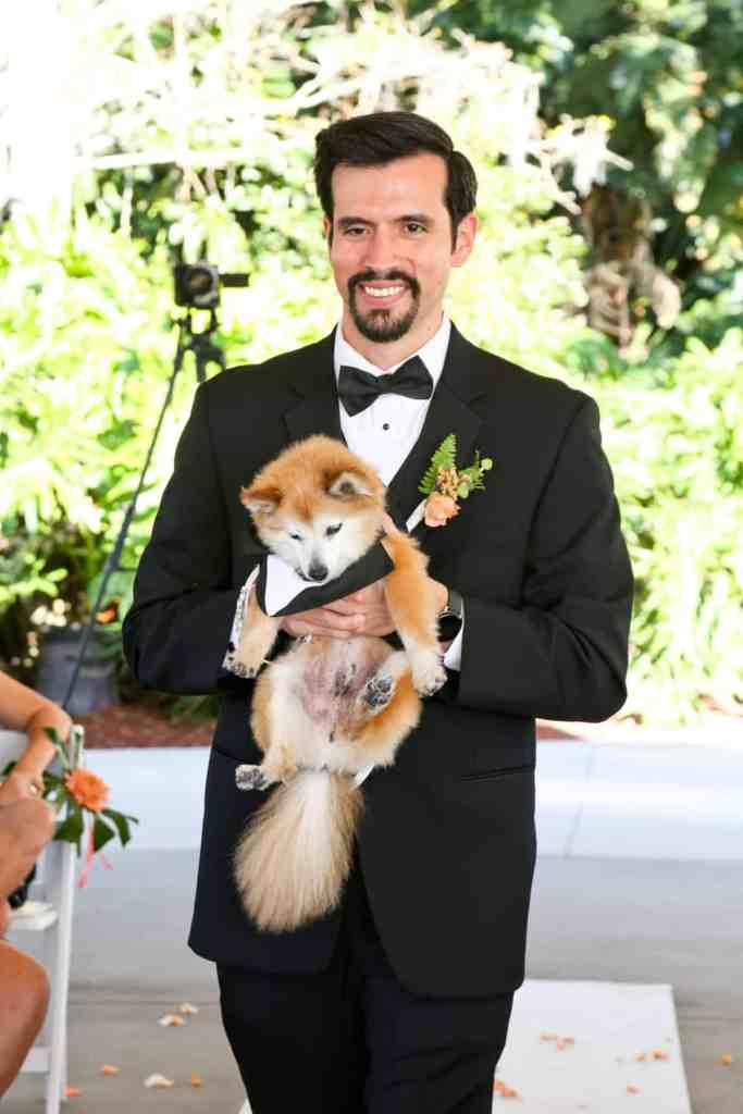 Dog being carried up the aisle for the wedding ceremony