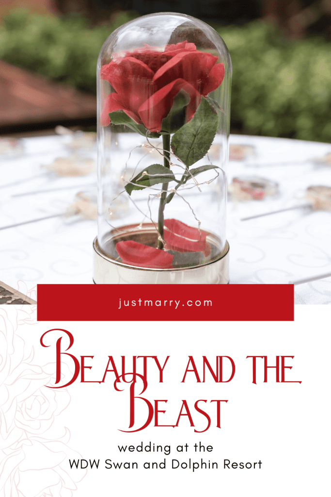 Beauty and the Beast themed Pinterest pin