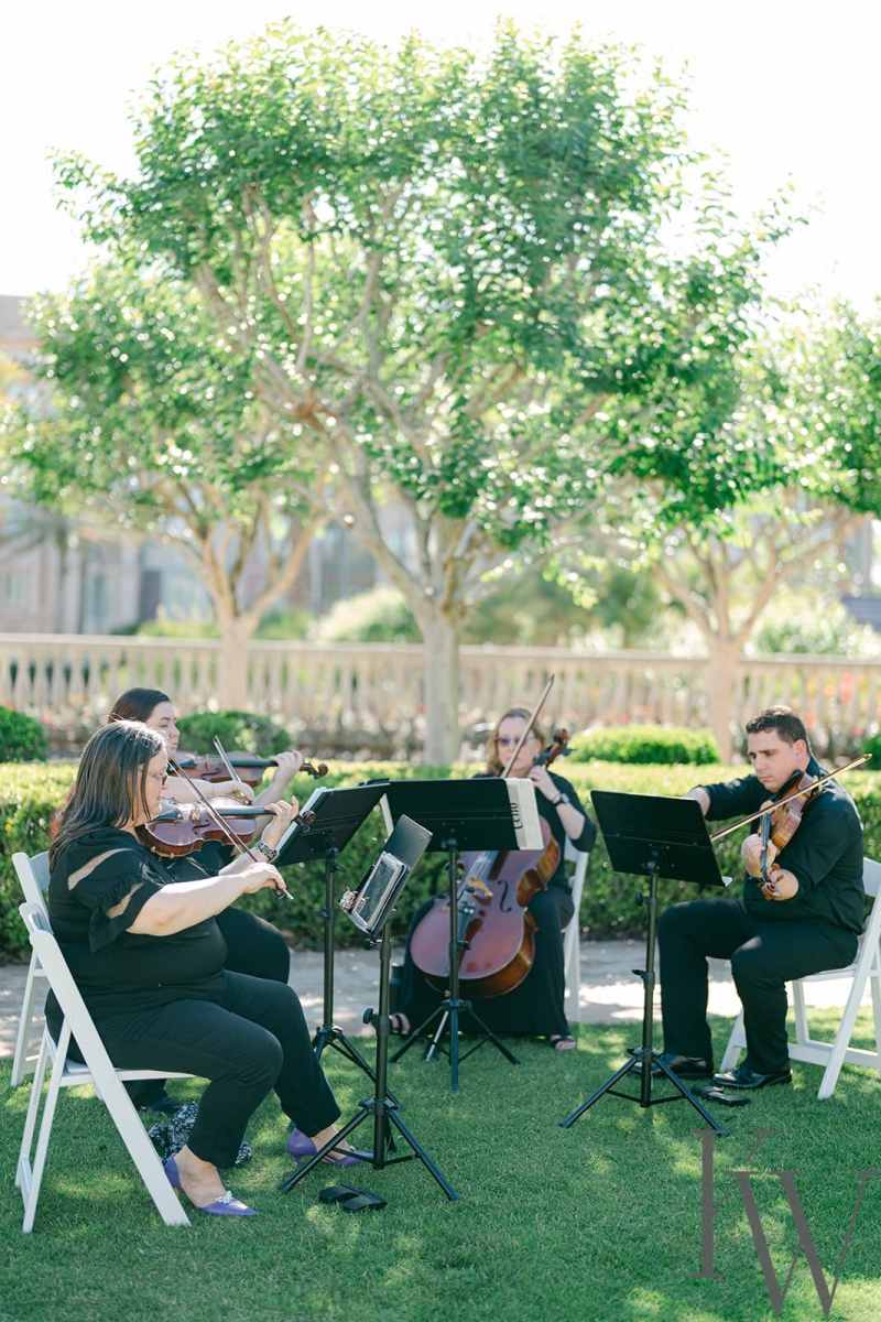 Four-piece string quartet