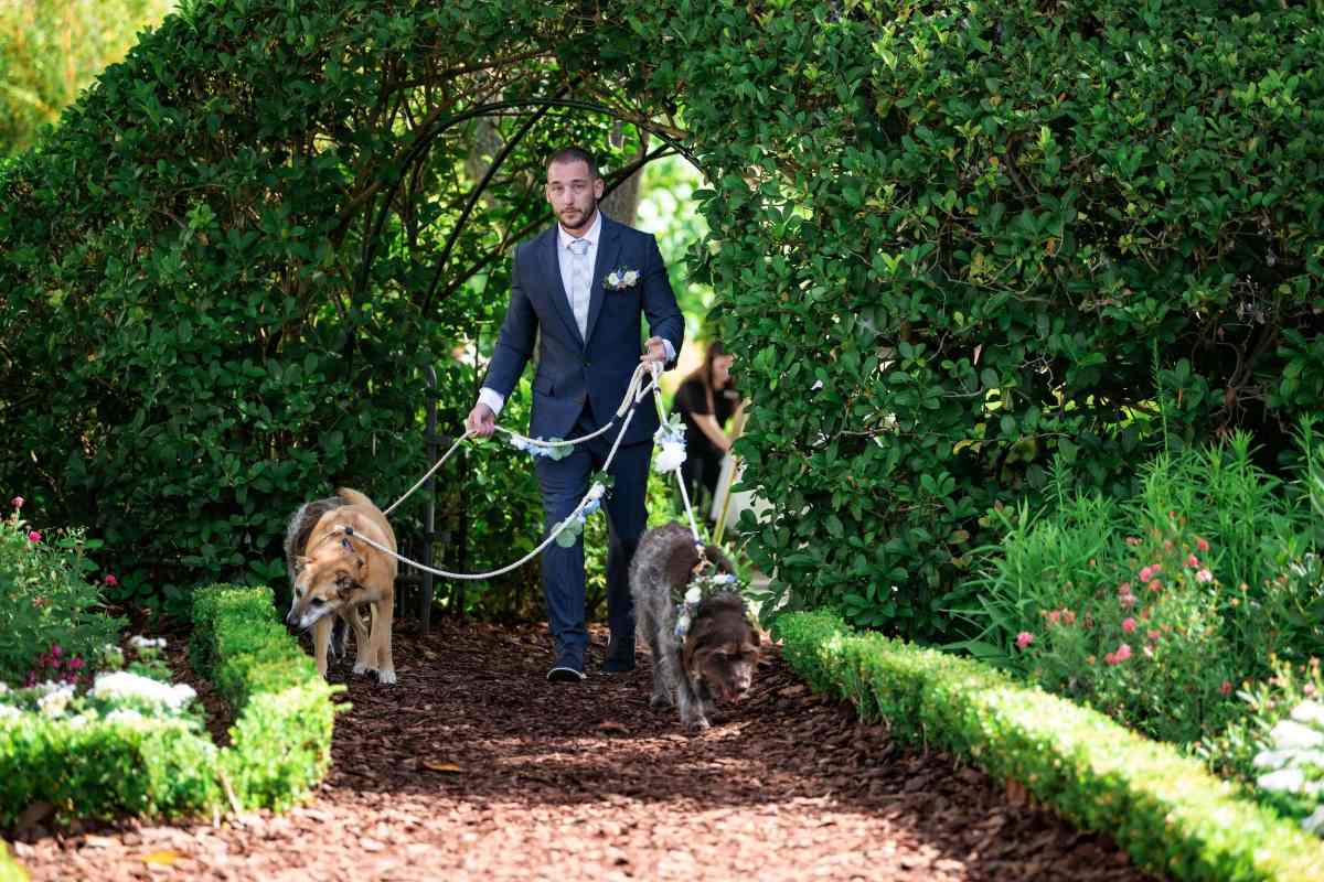Outdoor wedding in the Hard Rock Hotel's Butterfly Garden