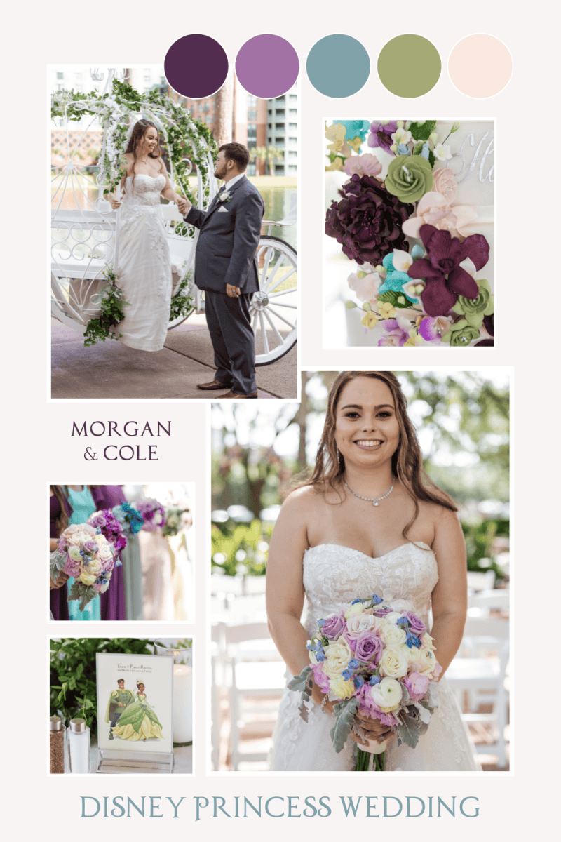 Disney Princess Wedding Pinterest Pin